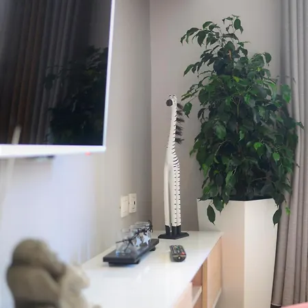 Haris No.2 * 티라나