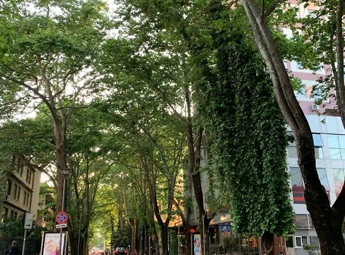 Haris No.2 地拉那