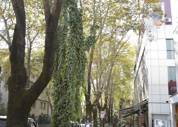 Haris No.2 地拉那